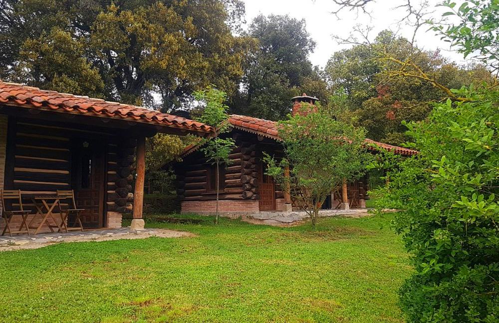 Cabañas de madera del camping de Artaza